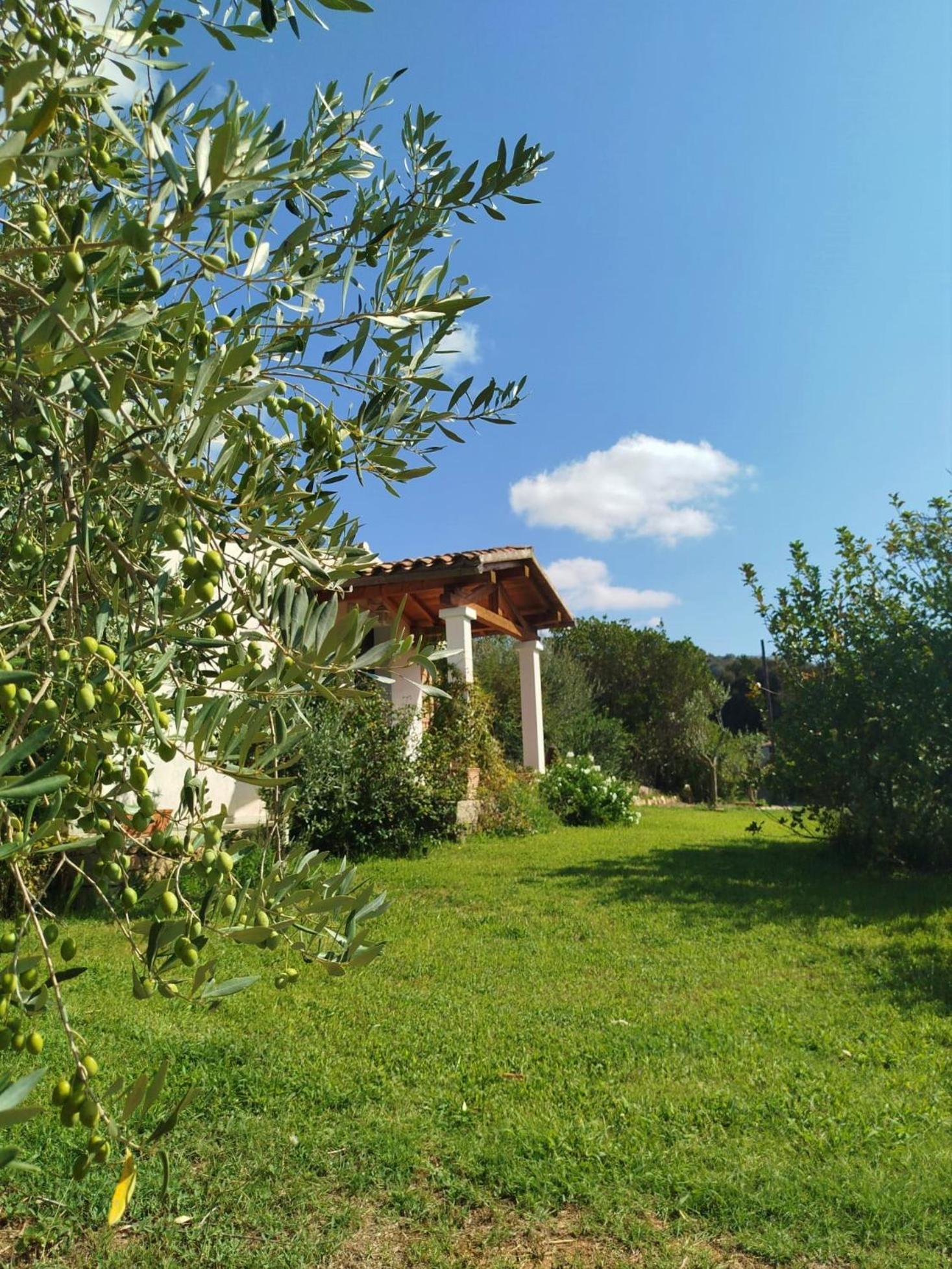 La Casetta Padru Exterior foto